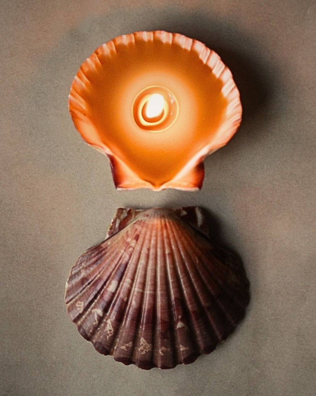 Scallop Shell Beeswax Candle